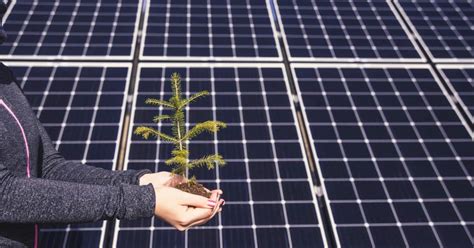 panneau solaire organique|Panneau solaire organique : fonctionnement & potentiel d’avenir.